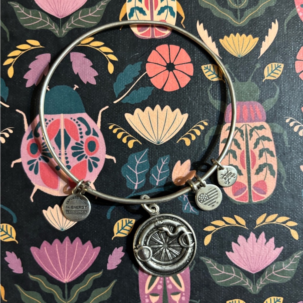Alex and Ani Silver Ourobros bracelet